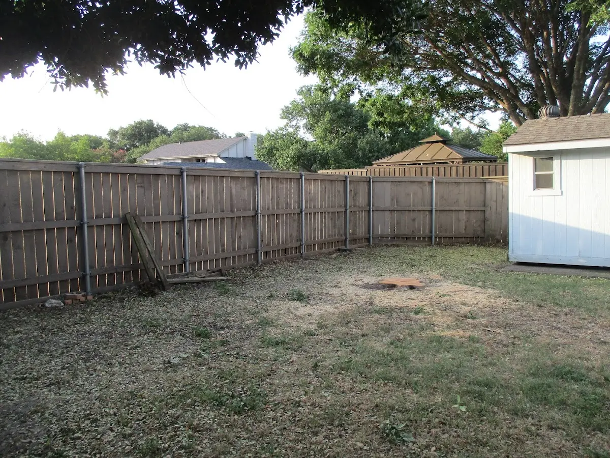 Cleared yard after professional tree removal in Port Angeles